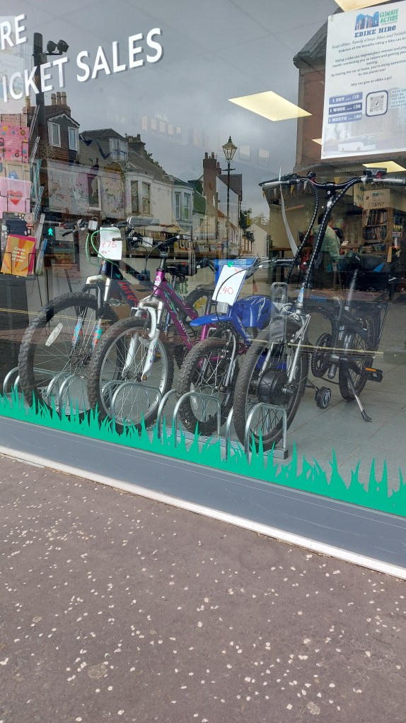 Bikes in the front window